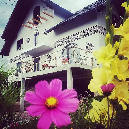 Casa Aureliana Villa Ciocanesti Ngoại thất bức ảnh