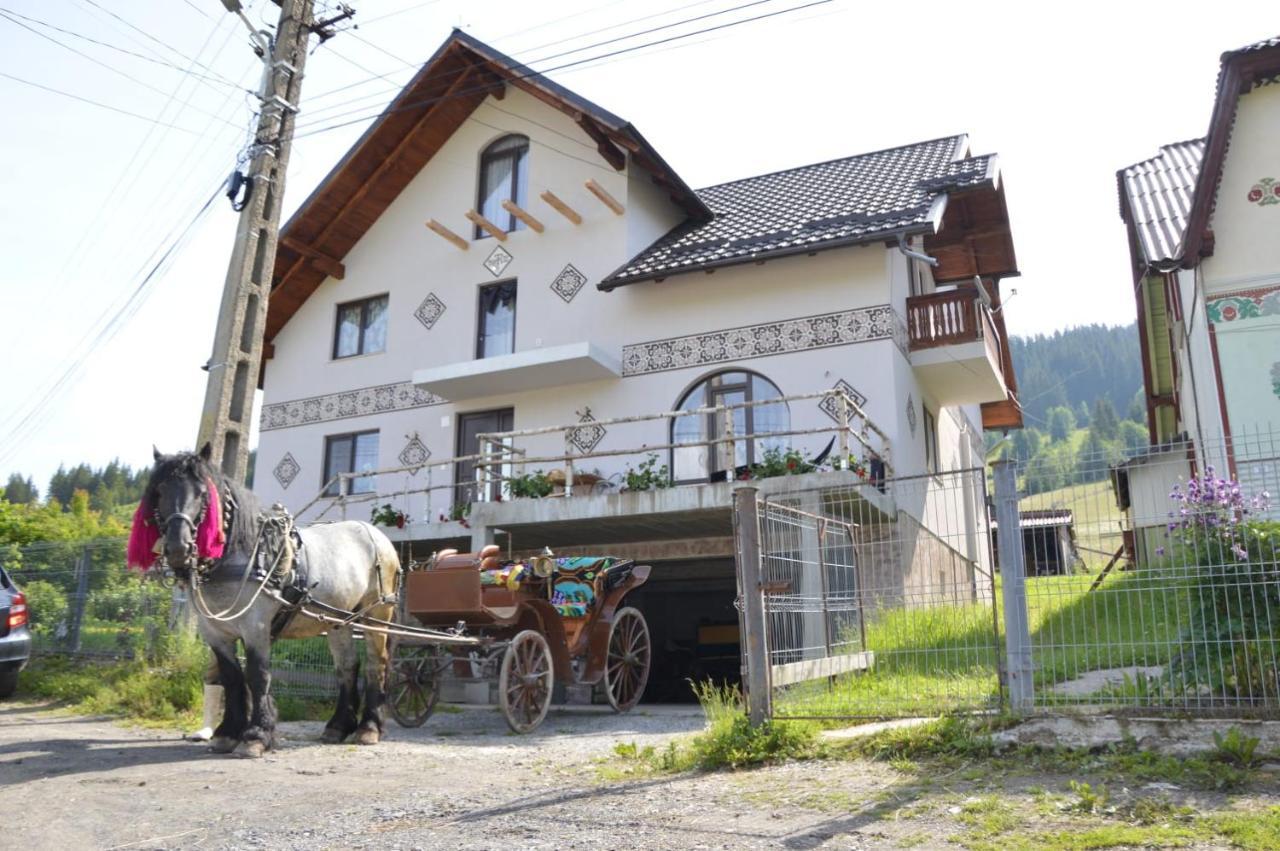 Casa Aureliana Villa Ciocanesti Ngoại thất bức ảnh