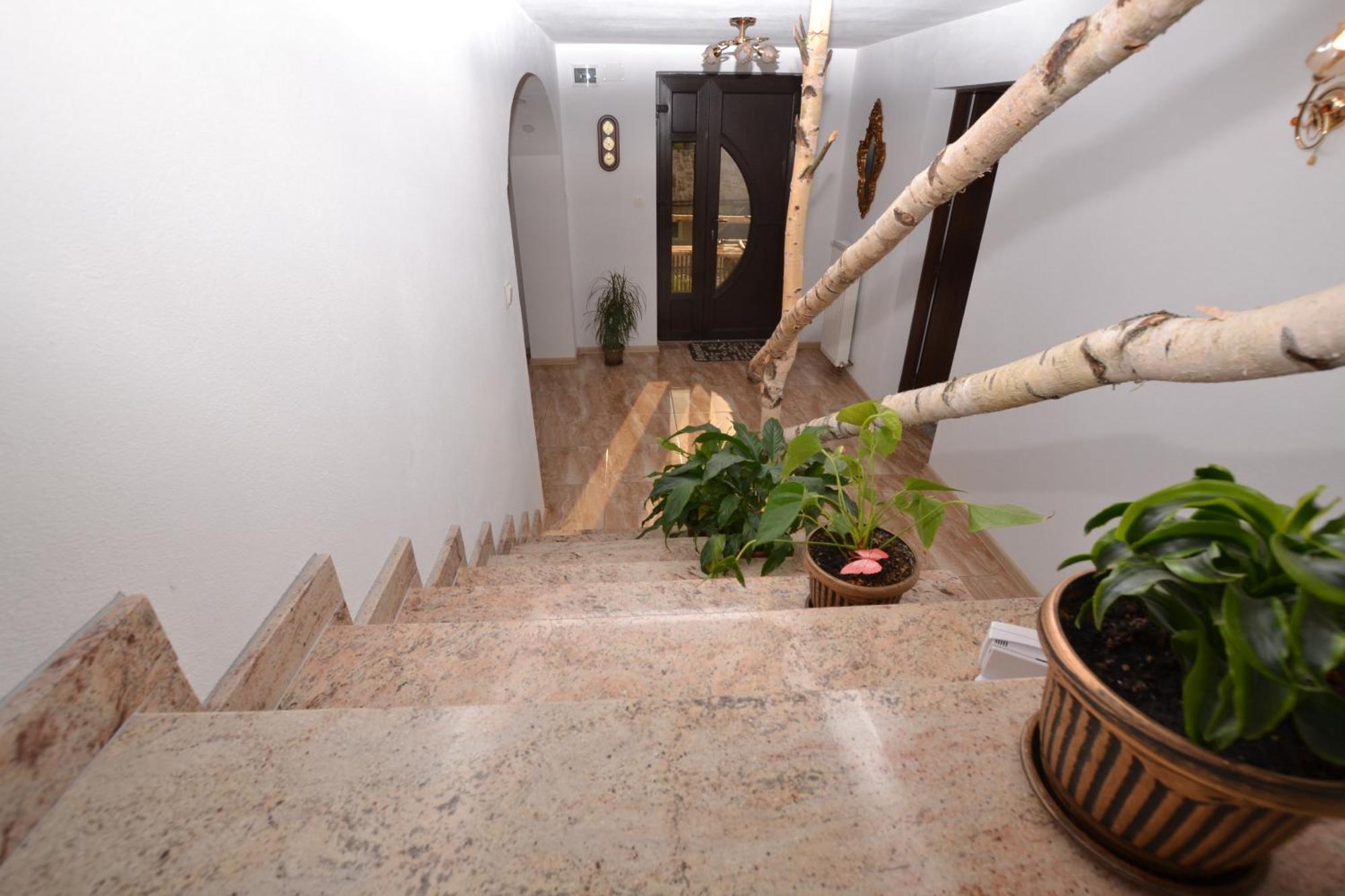 Casa Aureliana Villa Ciocanesti Ngoại thất bức ảnh
